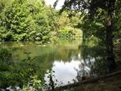 Les Cours d'eaux